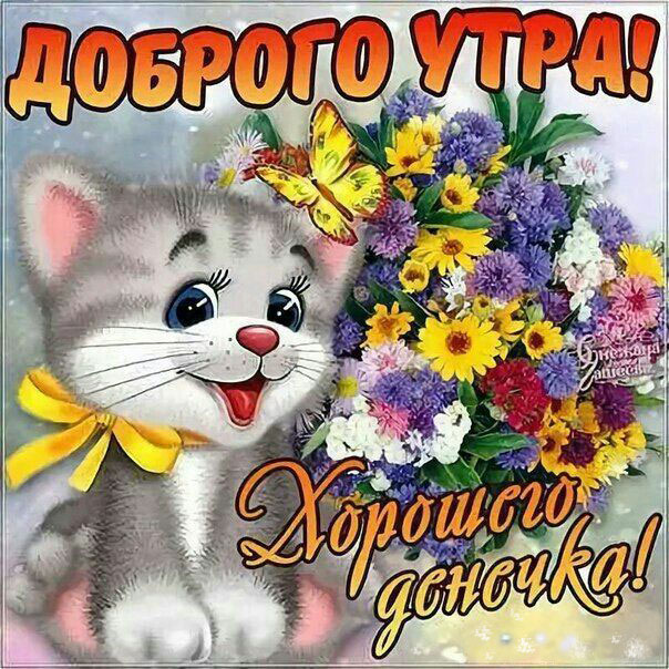 Доброго утра и хорошего дня картинка позитив