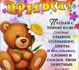 открытки с приветом