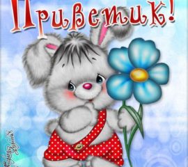мерцающие открытки привет