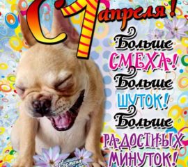 Веселые открытки день смеха