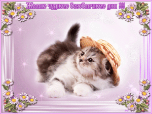 пожелание