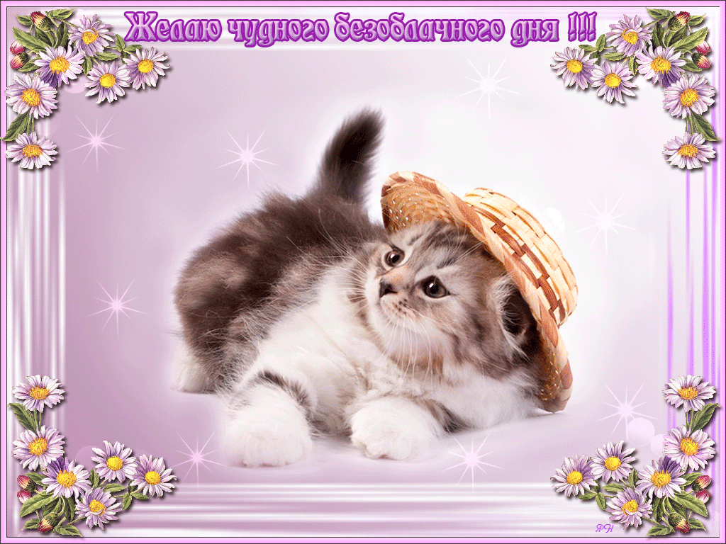 пожелание