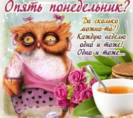опять понедельник