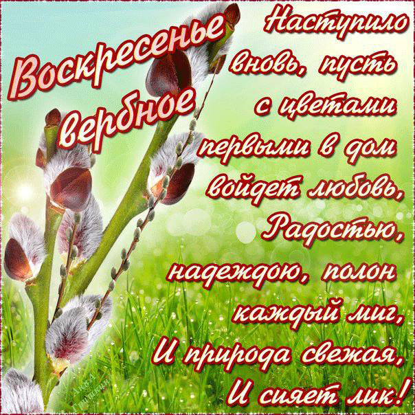 С праздником Вербное воскресенье