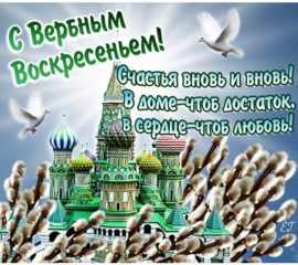 hf06jcnp08im