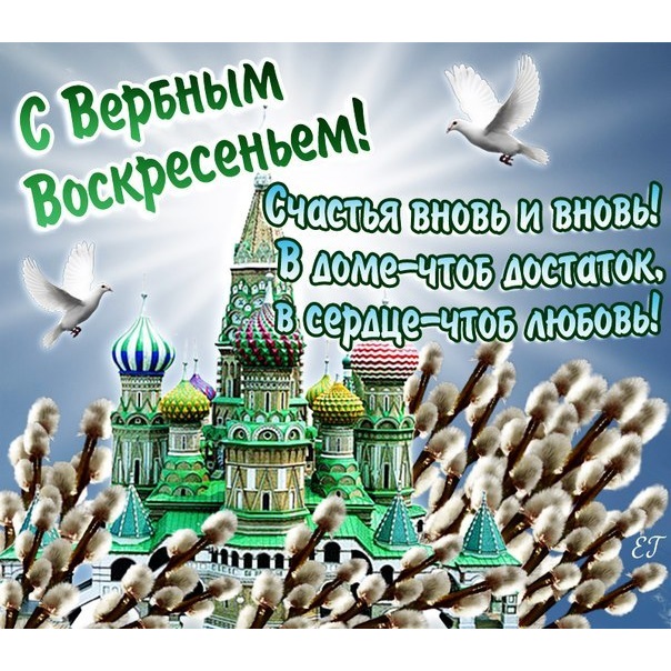 hf06jcnp08im