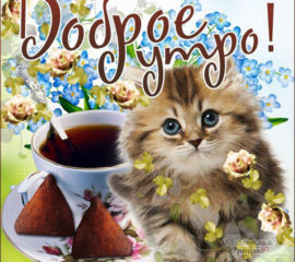 Доброе утро пожелание чай и котик