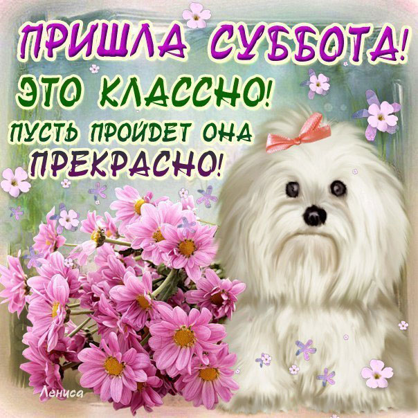 Gif открытки Суббота