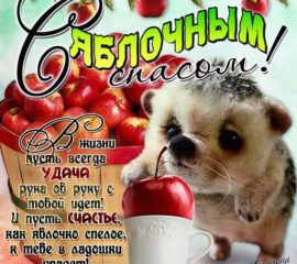 Веселая открытка