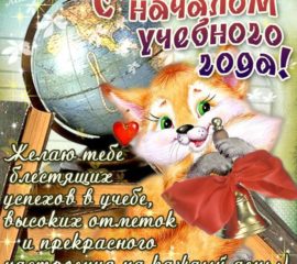 учебный год