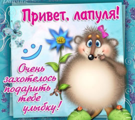 открытки привет