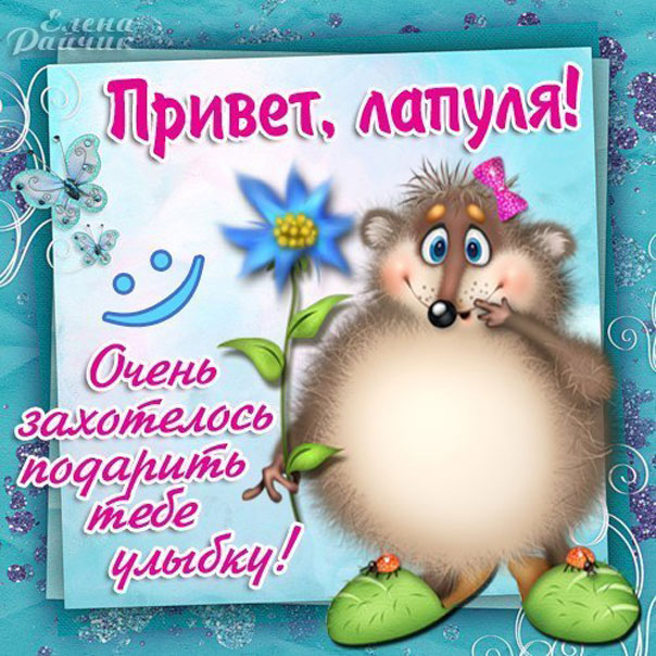 открытки привет
