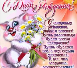 днюха ромашки