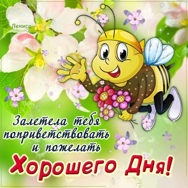 Открытки хорошего дня хорошего настроения