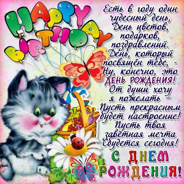 открытка котенок