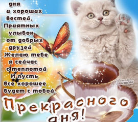 Большие открытки хорошего дня
