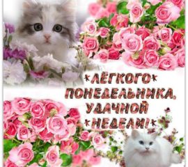 К началу Понедельника открытки