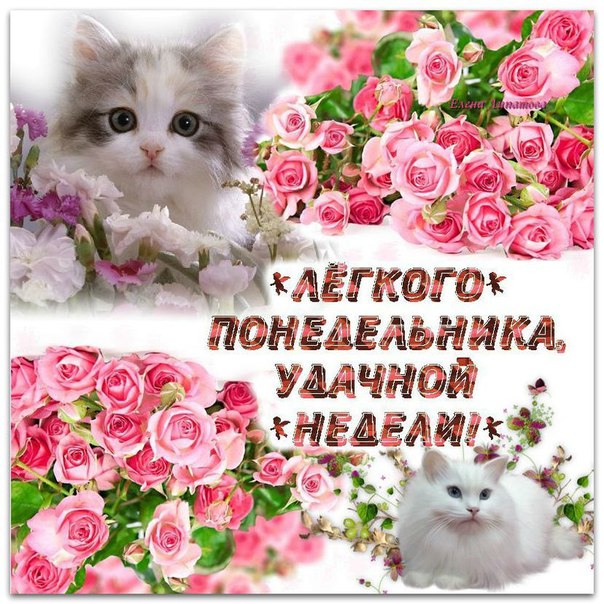 К началу Понедельника открытки