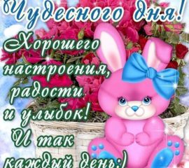 Открытки с пожеланиями хорошего дня