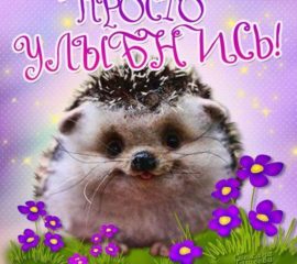 Музыкальные открытки