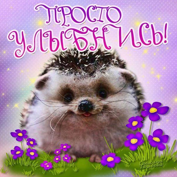 Музыкальные открытки