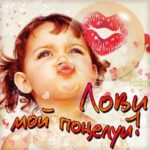 Пожелания целую открытки юмор