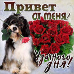 Открытка добрый день хорошего настроения