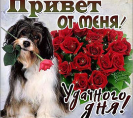 Красивые открытки хорошего дня