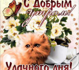 Пожелание на утро и чудесного дня