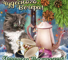 Чудесного вечера тебе. Котенок и кофе