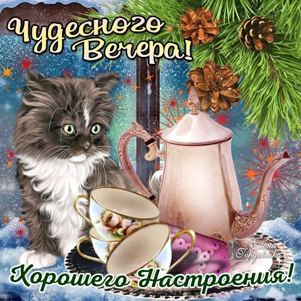 Чудесного вечера тебе. Котенок и кофе