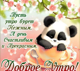 Нежное доброе утро. Счастливый день