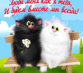 Картинка люби меня