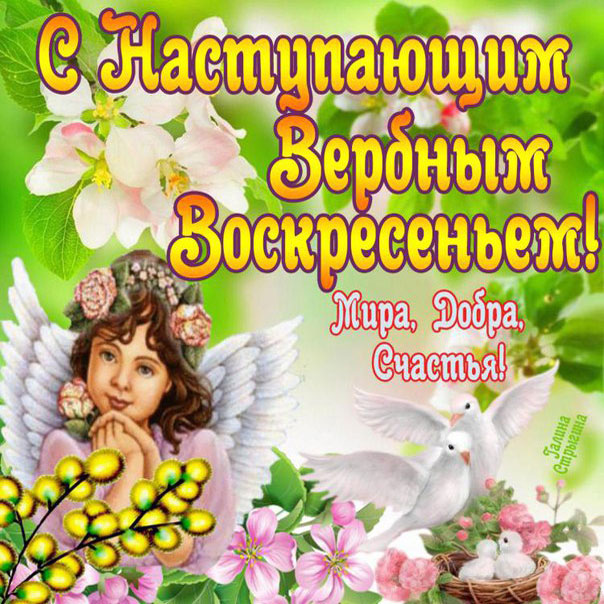 Девушке открытки Вербное воскресенье