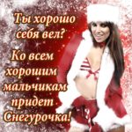 Новый год снегурочка