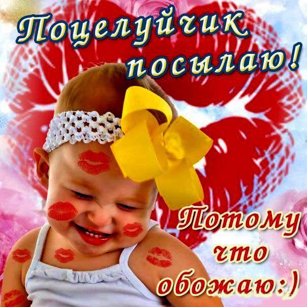 целую