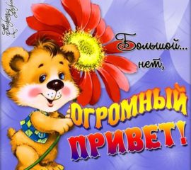 Открытки Привет прикольные