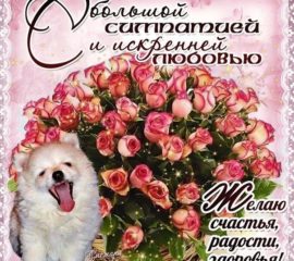 лучшей подруги