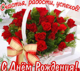 красные розы