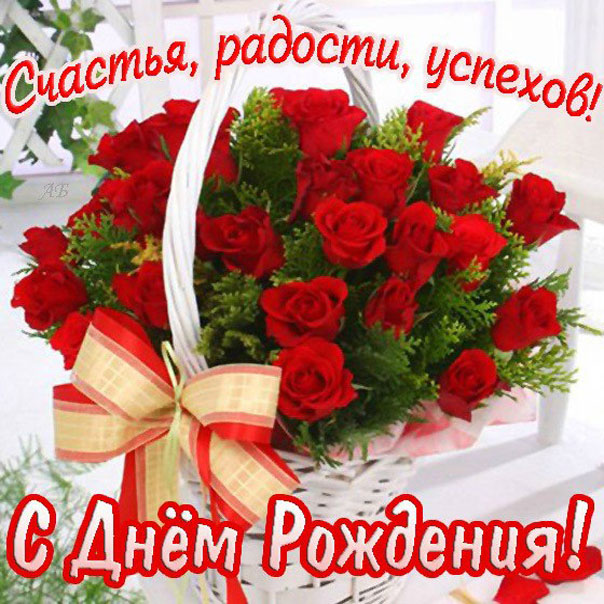 красные розы