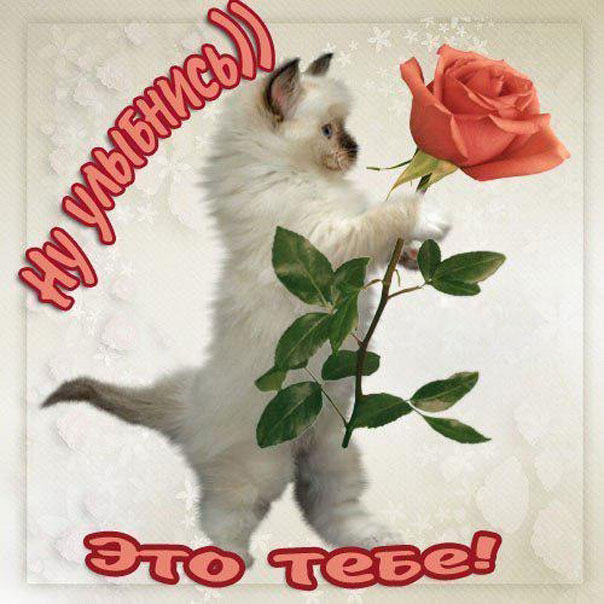 Открытки для тебя с нежностью
