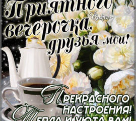 Друзья добрый вечер