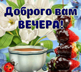 Желаю доброго вечера