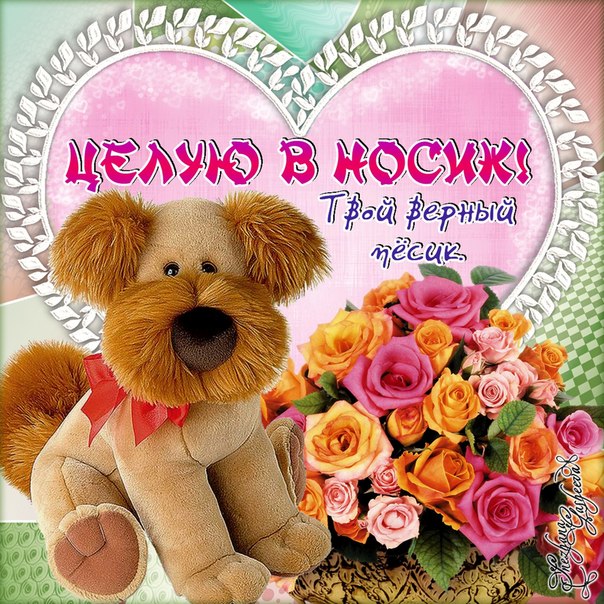 целую бесплатно