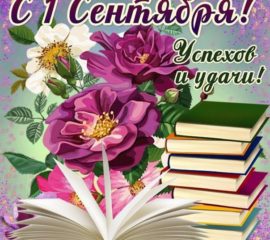 1 сентября мальчику