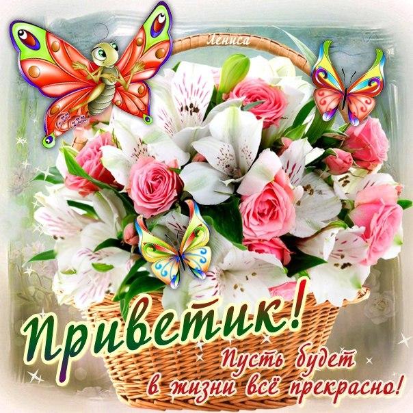 Открытки Привет Девушке