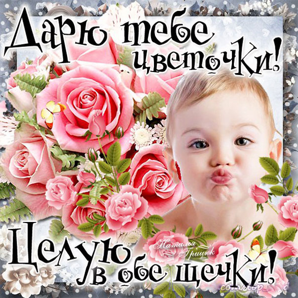 со стихами целую
