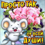 Открытки просто так