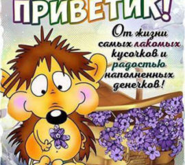 Веселые открытки Привет
