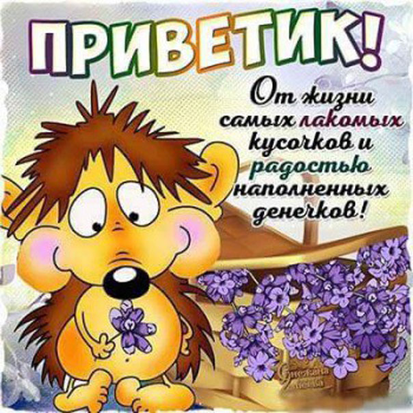 Веселые открытки Привет